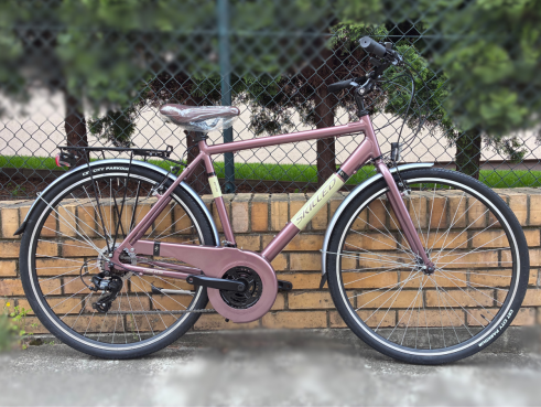 Rower SKL Skilledbike New York kolor brązowy