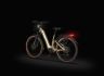 Rower elektryczny Ecobike Flex Titan 25 Ah / 900 Wh full low step - 11